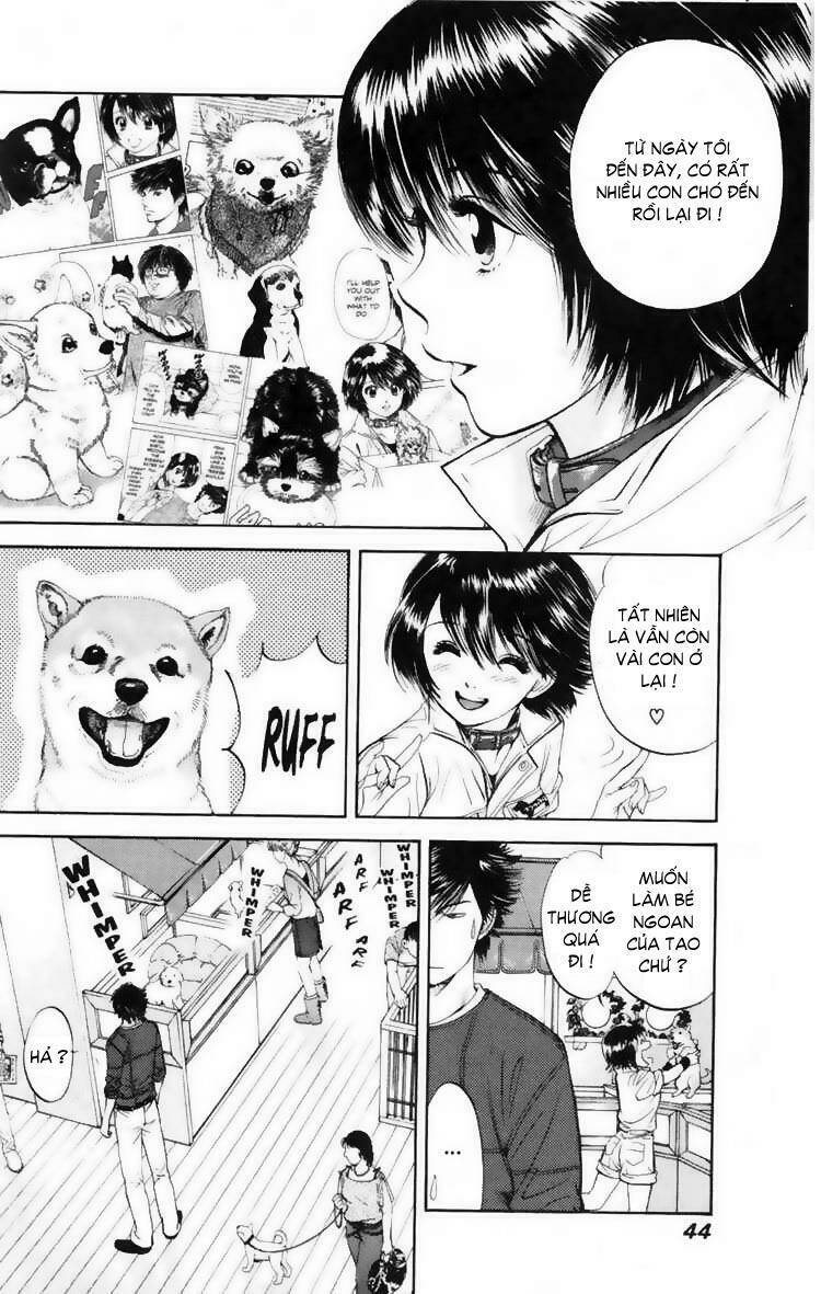 cô nàng yêu chó chapter 11 5