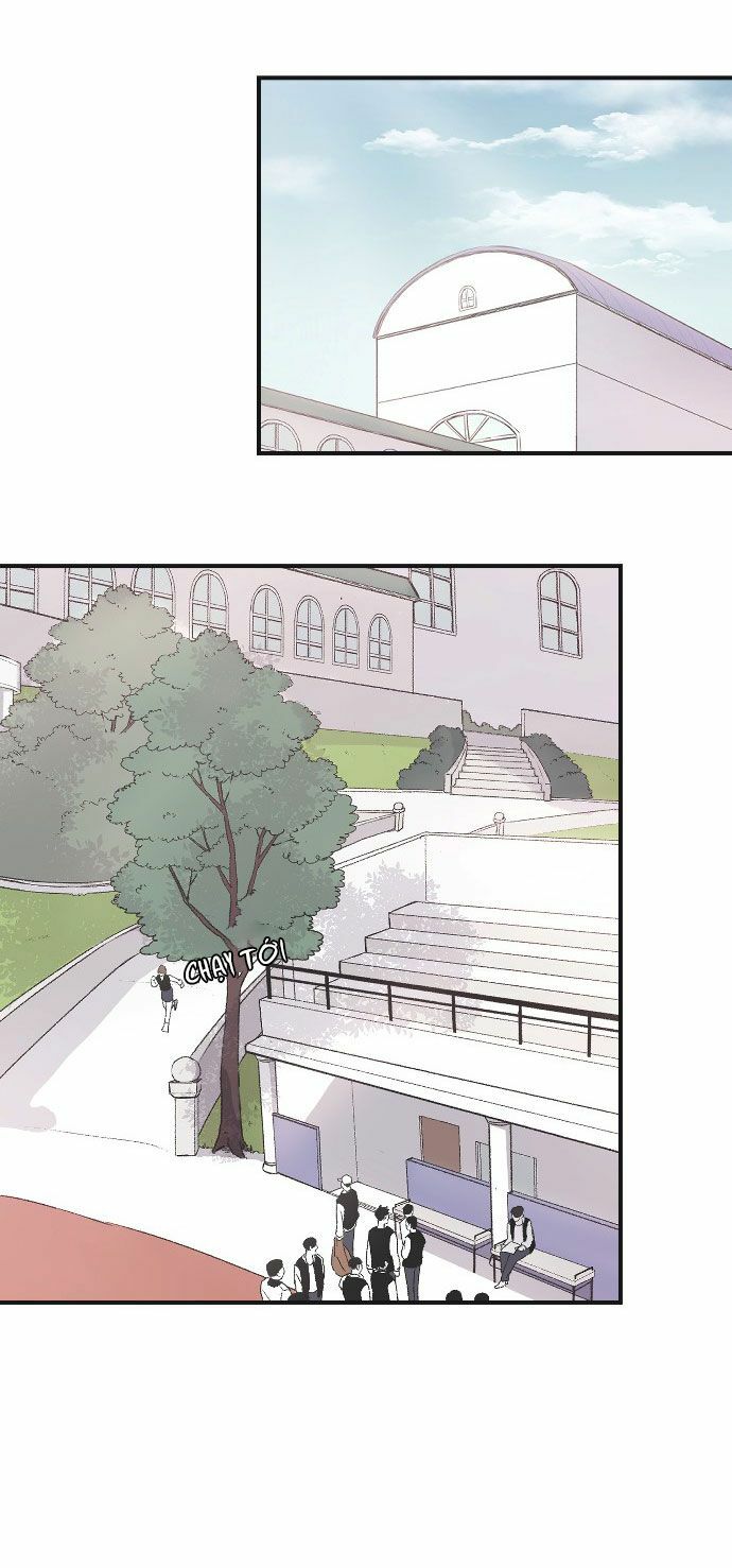 ba người anh trai cực phẩm của tôi chapter 16 49