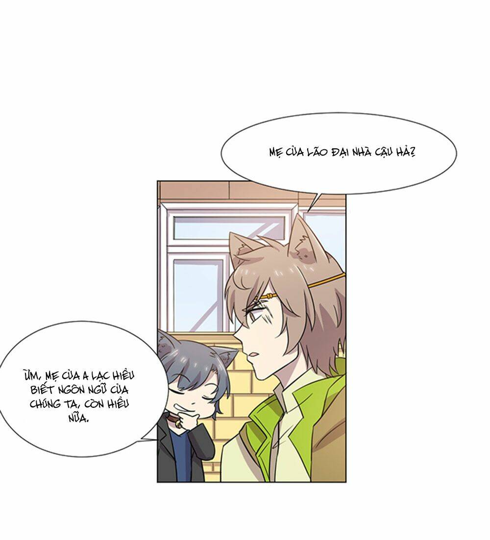 hai chú mèo totem chapter 39 29