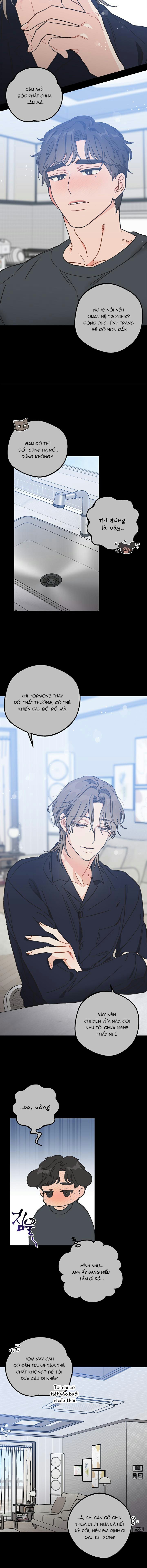alpha thì có sao? chapter 5 15