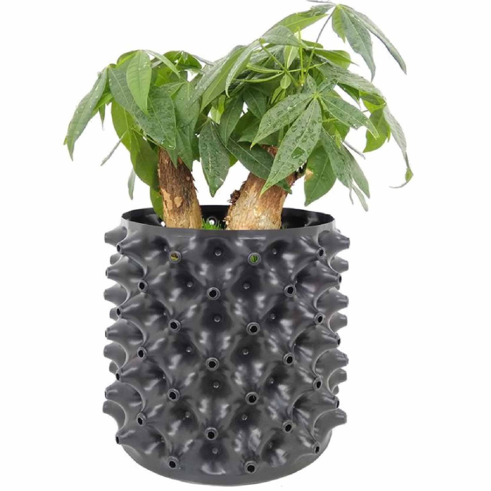 Bầu ươm cây Ecopot cao 50cm x dài 25m