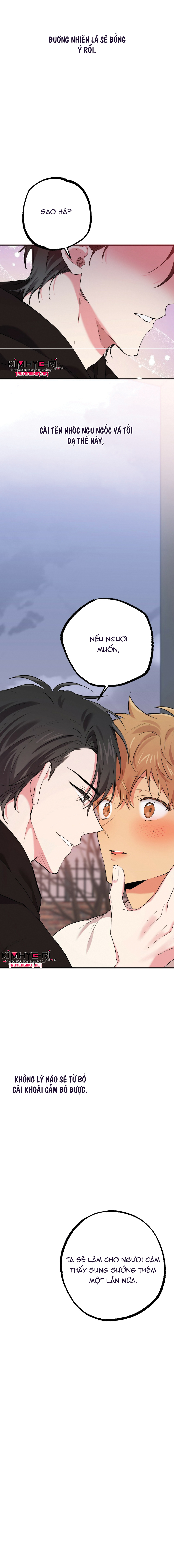 những chú thỏ của hapypy chapter 9 20