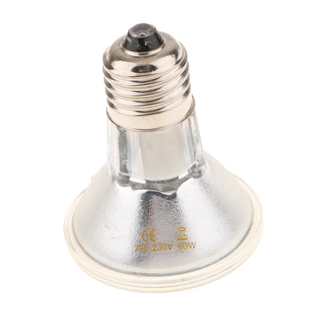 Đèn LED Sưởi Ấm Cho Bò Sát Với Chân E27