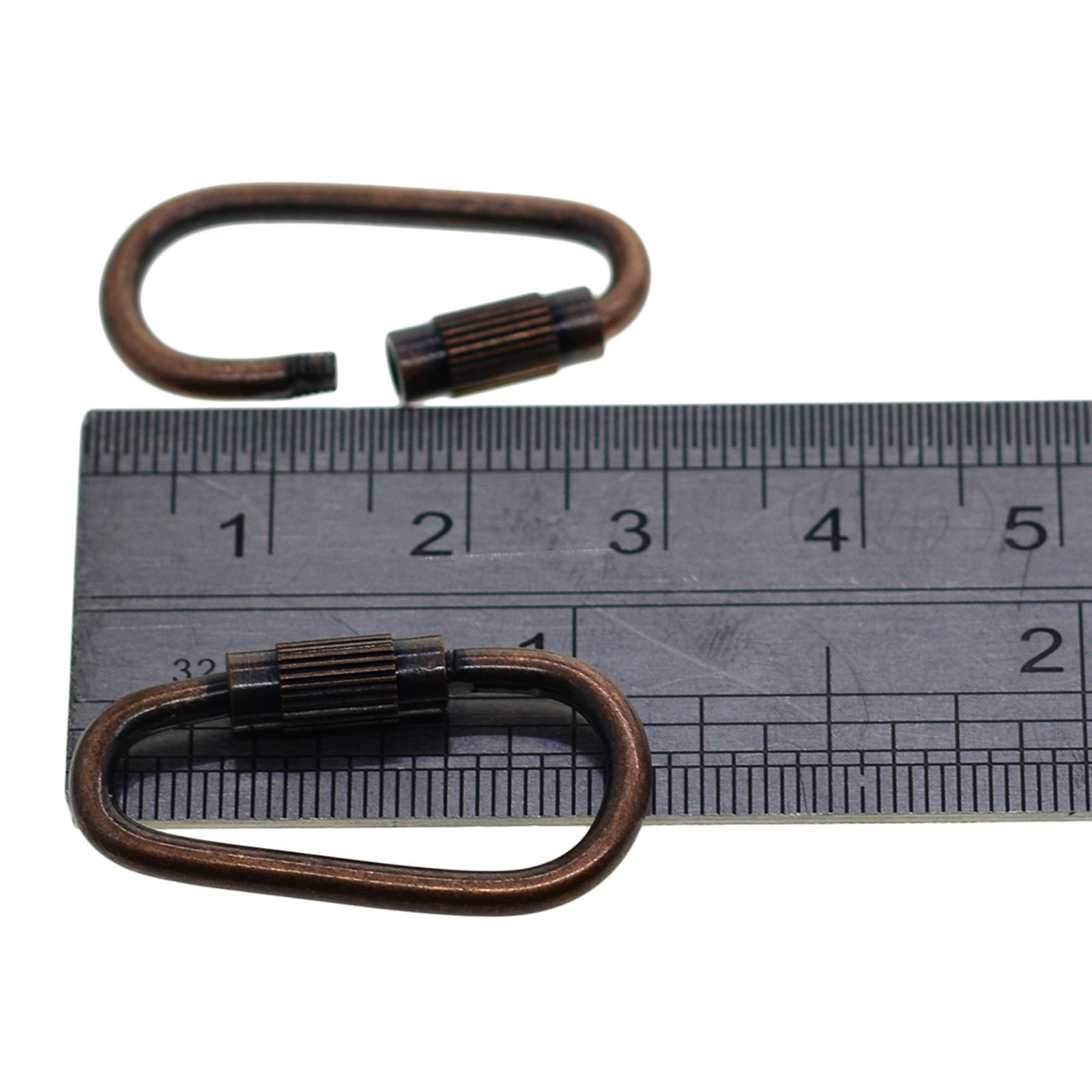 20PCS Small Locking Carabiner Clip Mini Locking Clips D-Ring Lightweight Keychain Clip for Indoor Outdoor Use
