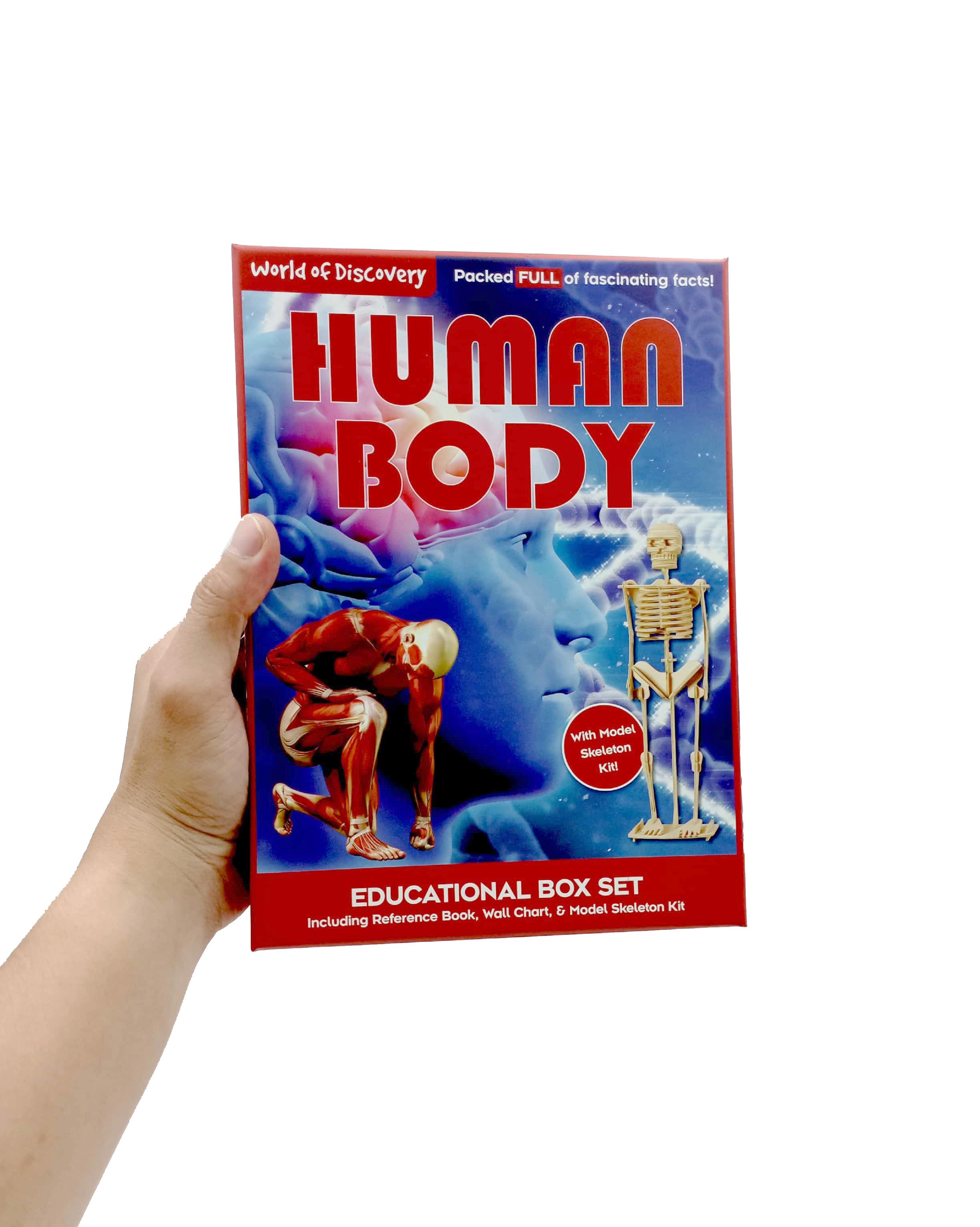 World Of Discovery: Human Body