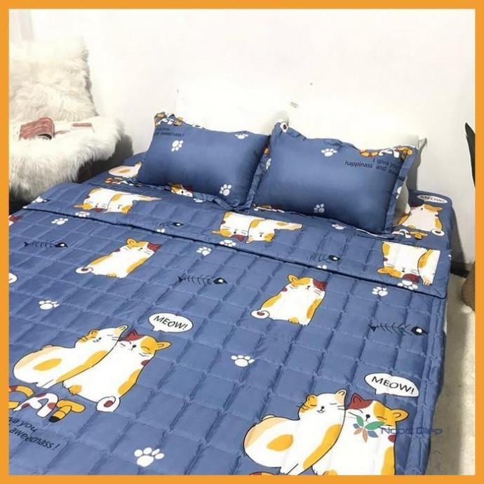 Bộ Chăn Hè Ga Gối Trải Giường Bọc Đệm Mèo Bụng To