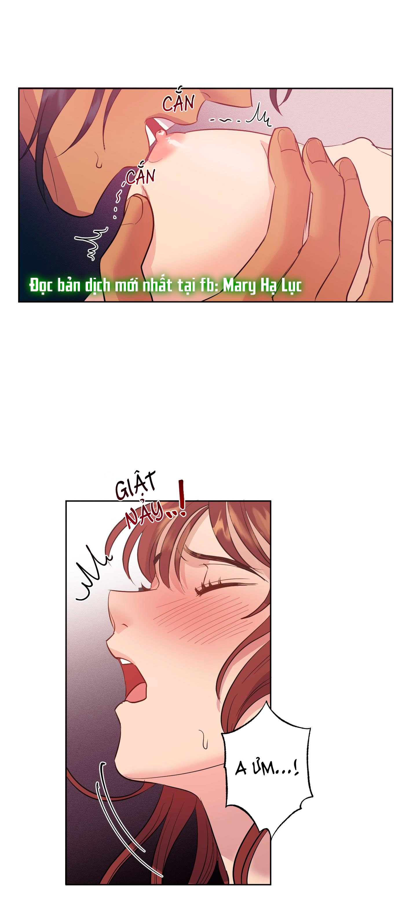 [18+] một lòng một dạ chapter 5 6