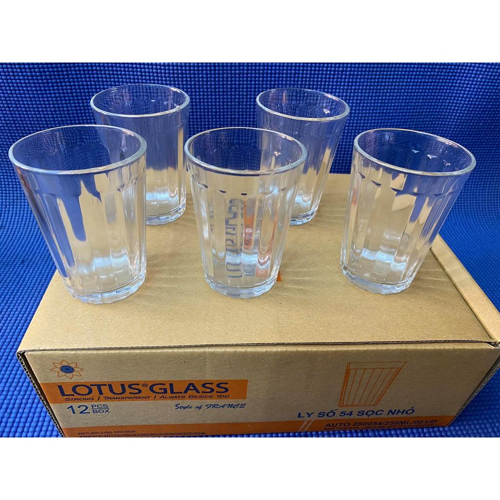 Set 12 cái ly số 54 sọc nhỏ