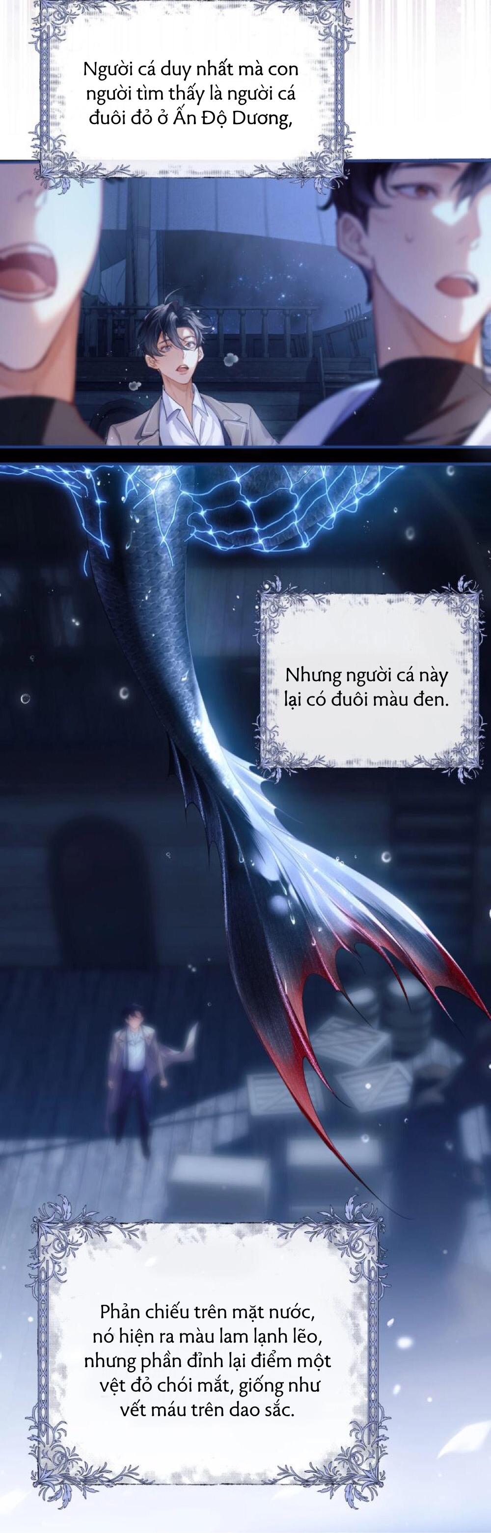 nhân ngư dessaro chapter 1 14