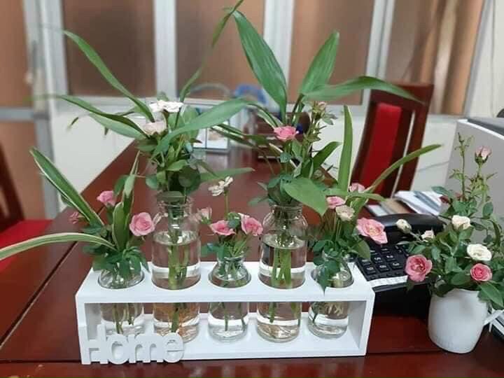 Set 5 lọ hoa thuỷ tinh kèm kệ gỗ trang trí nhà cửa
