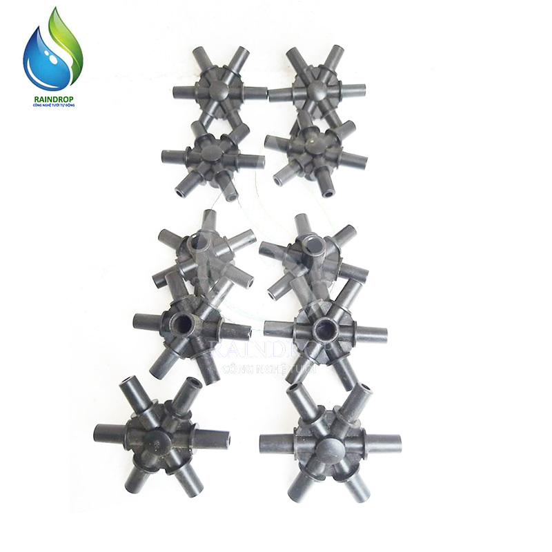 10 CHÂN CHIA 6 GẮN BÉC PHUN SƯƠNG