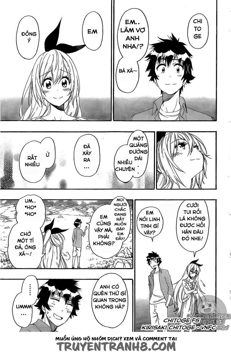 Nisekoi Chapter 229 - Trang 21