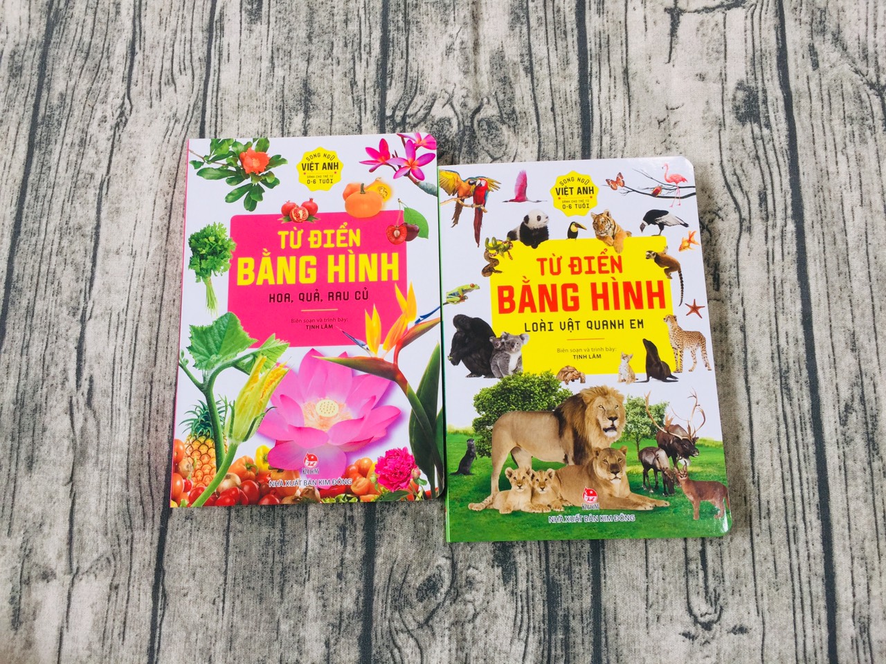 Com bo từ điển bằng hình 2 cuốn
