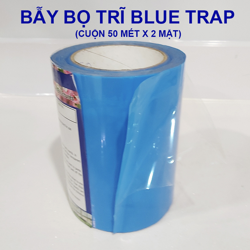 (Combo 20 mét) Keo dính Màu Xanh nhập khẩu Israel Blue Trap dùng Diệt Bọ Trĩ (con bù lạch) gây hại nông nghiệp và hiệu lực keo trên 8 tháng chịu mưa nắng và nước tưới