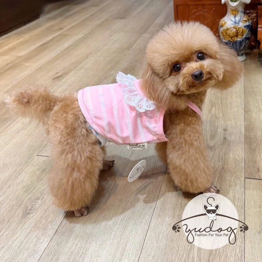 ÁO DÂY YẾM CROPTOP DỄ THƯƠNG CHO CHÓ MÈO
