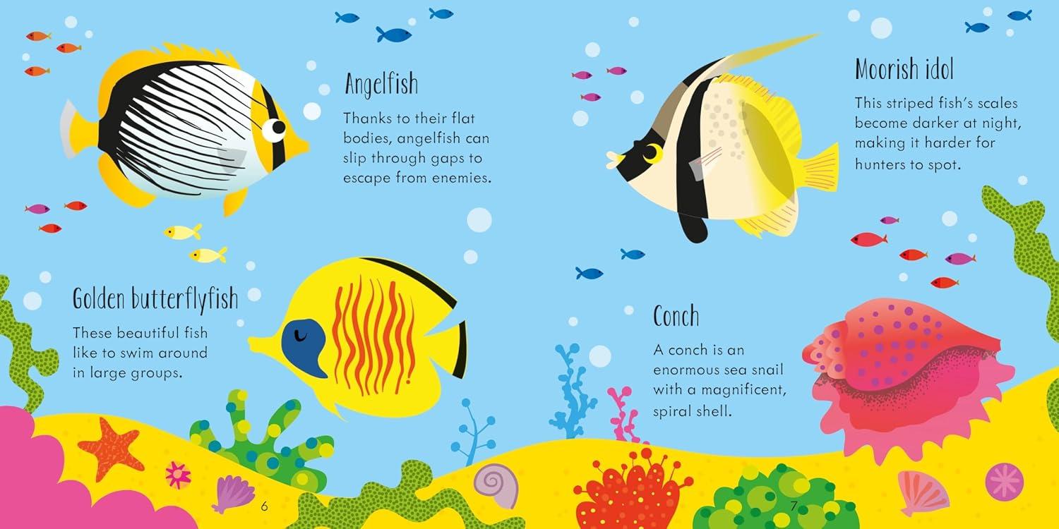 Sách Under The Sea Matching Games And Book