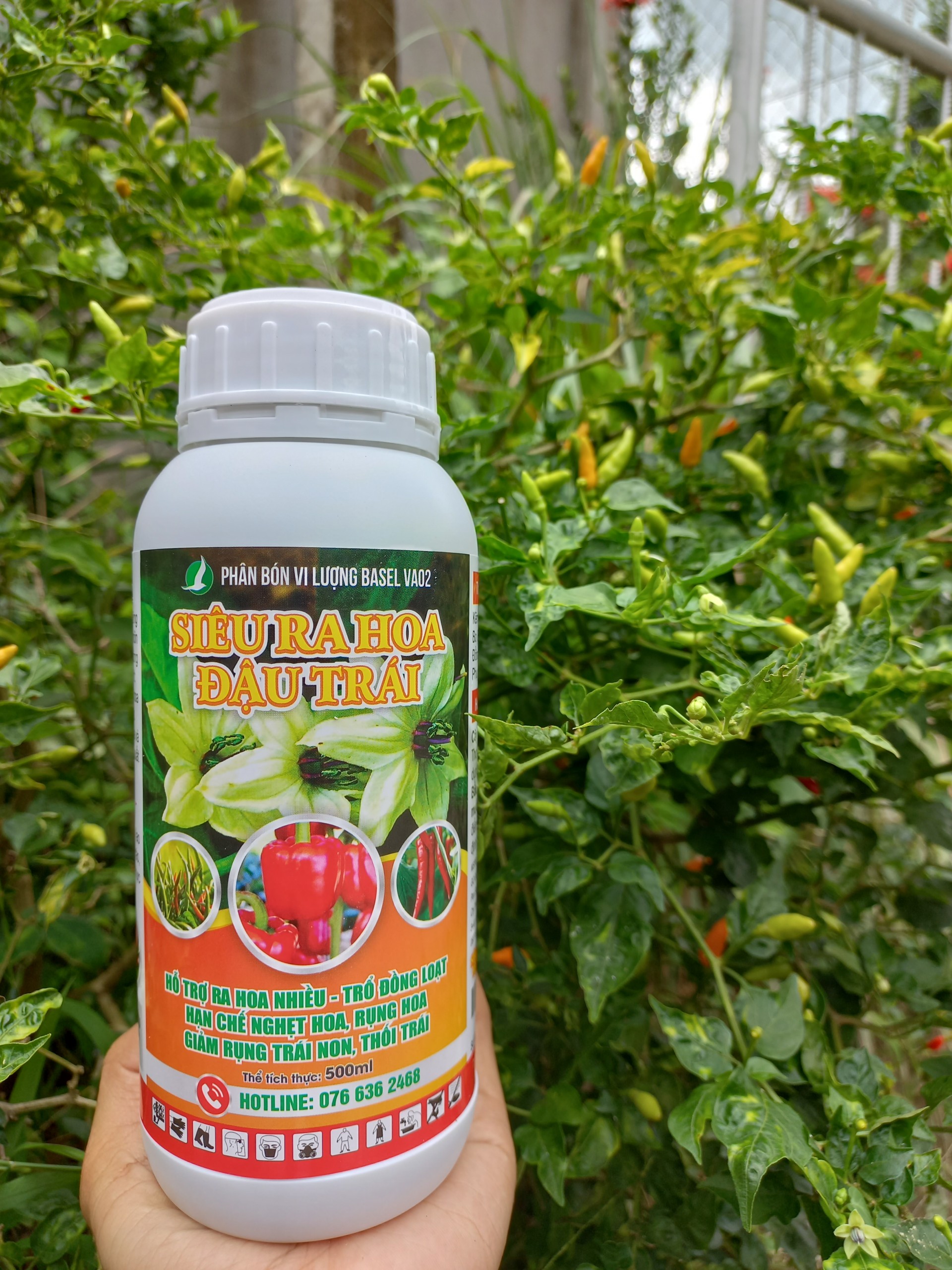 SIÊU RA HOA ĐẬU TRÁI 500ML - PHÂN BÓN CHUYÊN DÙNG RA HOA CHO RAU MÀU