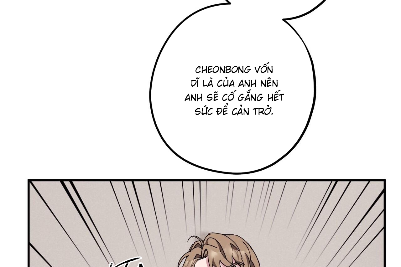 chàng dâu nhà họ kang chapter 33 116