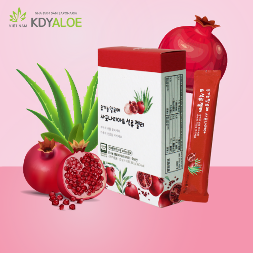 KDY ALOE - THẠCH COLLAGEN NHA ĐAM SAPONARIA LỰU ĐỎ HỮU CƠ (hộp 10 gói)