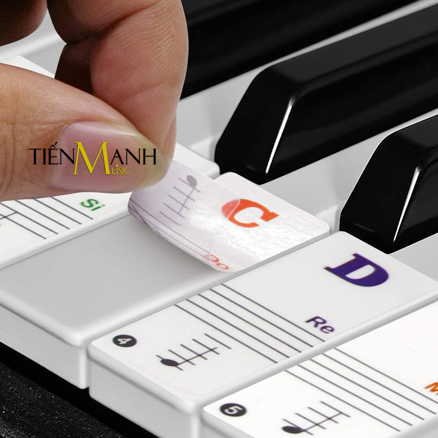 Sticker Dán nốt bàn phím cho Đàn Piano và Organ - Decal đánh dấu vị trí note nhạc dùng cho tất cả Đàn 88, 61, 54, 49 Phím Hàng Chính Hãng - Kèm Móng Gẩy DreamMaker