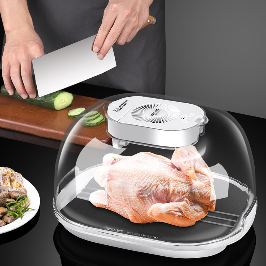 Máy rã đông nhanh chóng thực phẩm Defrost Kitchen - công nghệ mới tiết kiệm thời gian