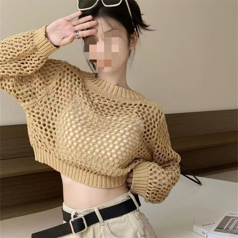 Áo len lưới Dệt Kim Cổ Tròn Mỏng Thời Trang Mùa Hè Phong Cách Hàn Quốc Dành Cho Nữ Haint Boutique Al82