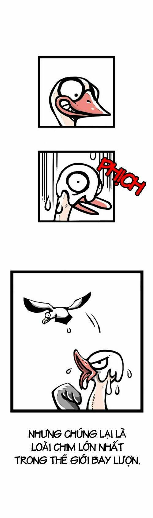 earth, human, and animal chapter 1 5