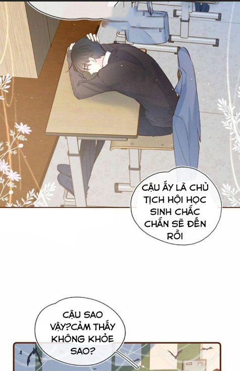 nỗi buồn của hoa cẩm tú cầu chapter 30 28