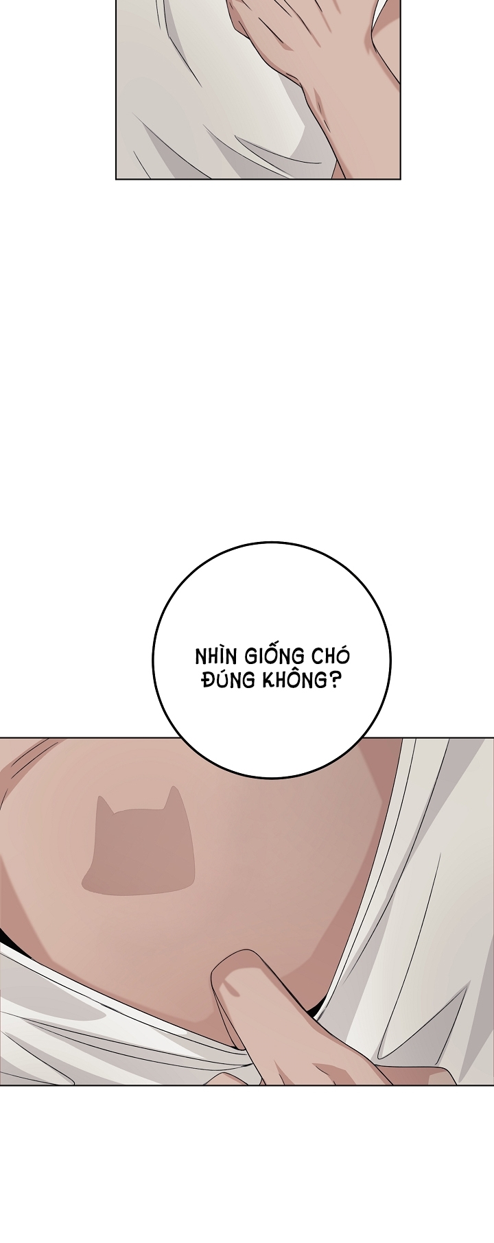 11336 chapter 7.1 - Trang 21