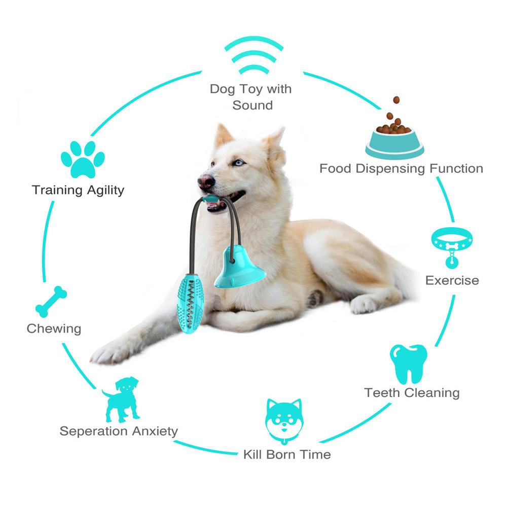 Đồ chơi, huấn luyện thú cưng hình quả bóng