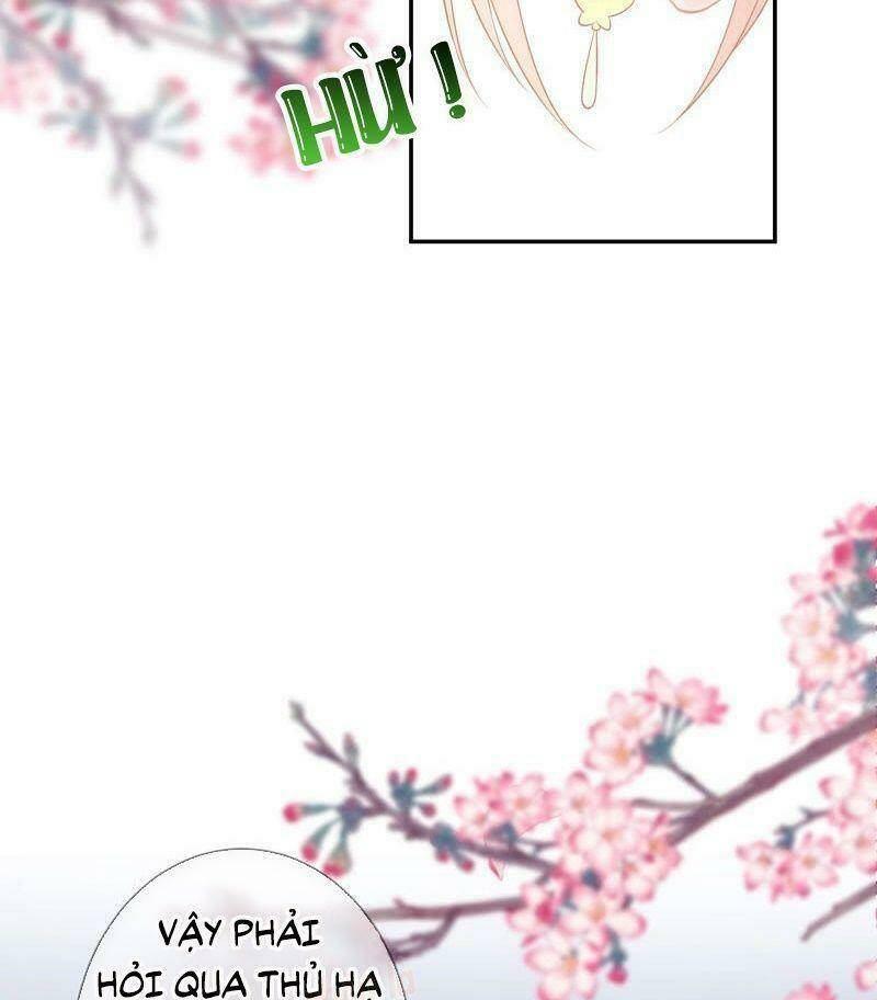 quận chúa vững vàng, thiết lập nhân vật không thể vỡ chapter 0 58