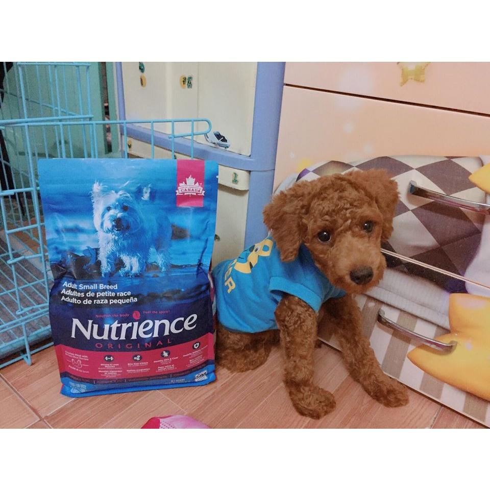 Thức Ăn Cho Chó - Size Nhỏ Trưởng Thành Trên 12 Tháng Nutrience Original Bao 2,5kg - Thịt Gà, Rau Củ, Trái Cây