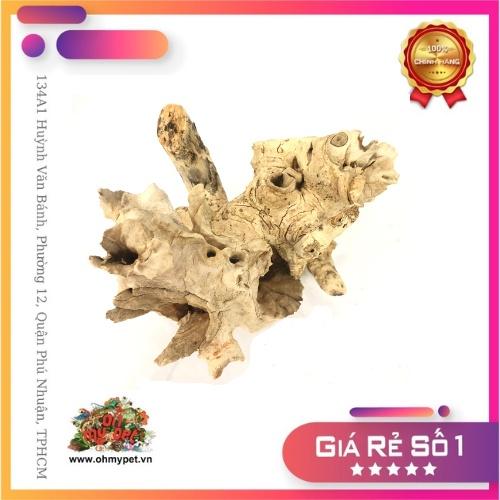 Lũa trang trí chuồng bò sát, hồ thuỷ sinh