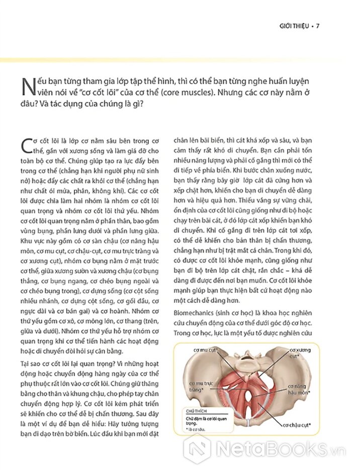 Khỏe Đẹp Với Các Bài Tập Cơ Bản - Dr. Abigail Ellsworth