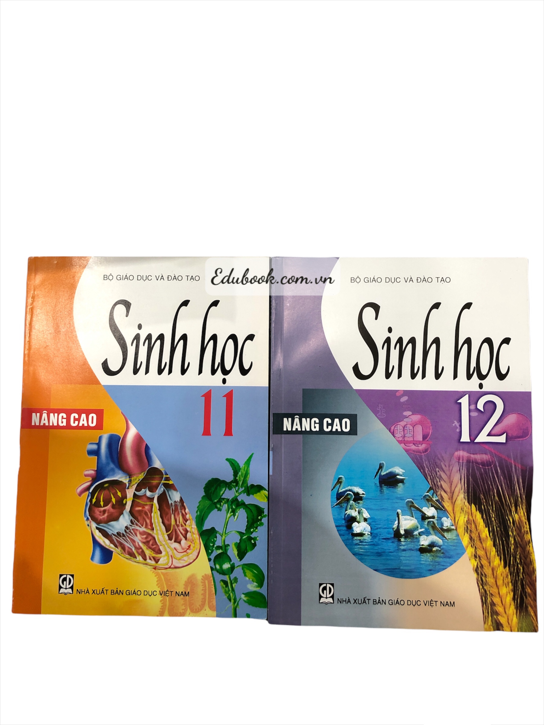 Combo Sinh Học Lớp 11,12 Nâng Cao (2 cuốn)