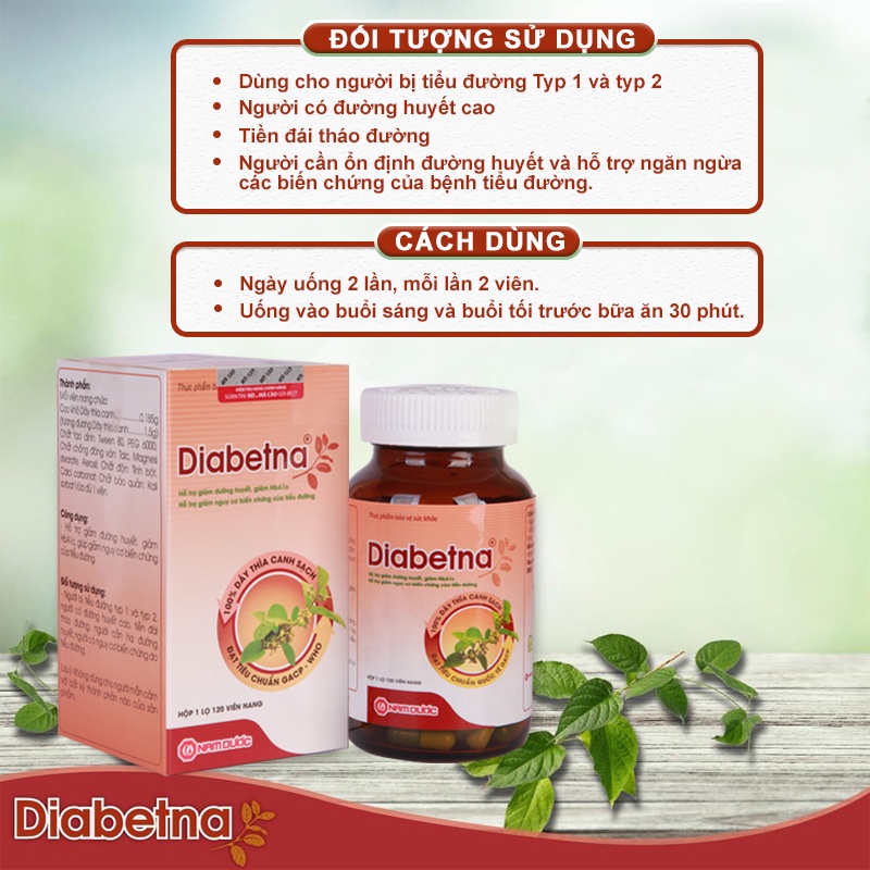 Viên uống dây thìa canh Diabetna, Hỗ trợ giảm đường huyết và các biến chứng bệnh tiểu đường
