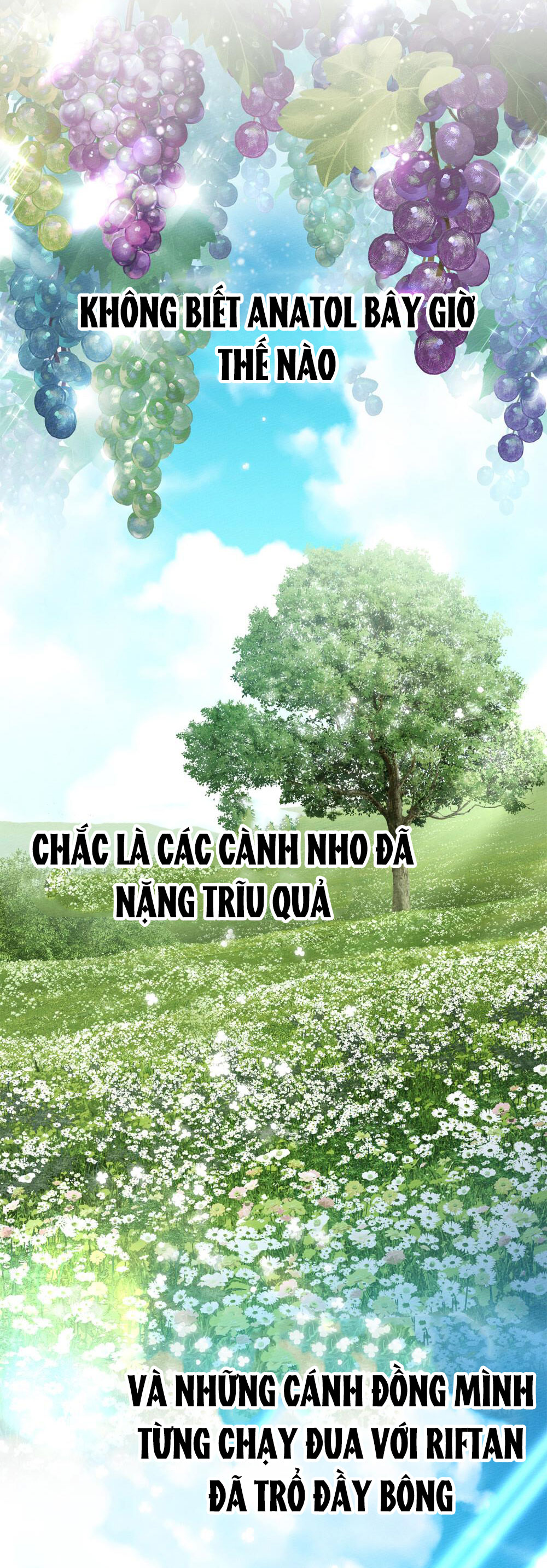 Dưới Bóng Cây Sồi chapter 117.2 26