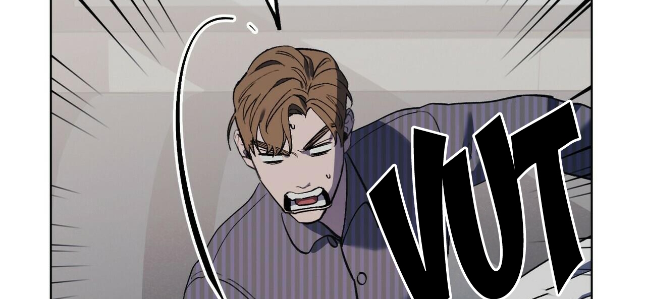 chàng dâu nhà họ kang chapter 19 135