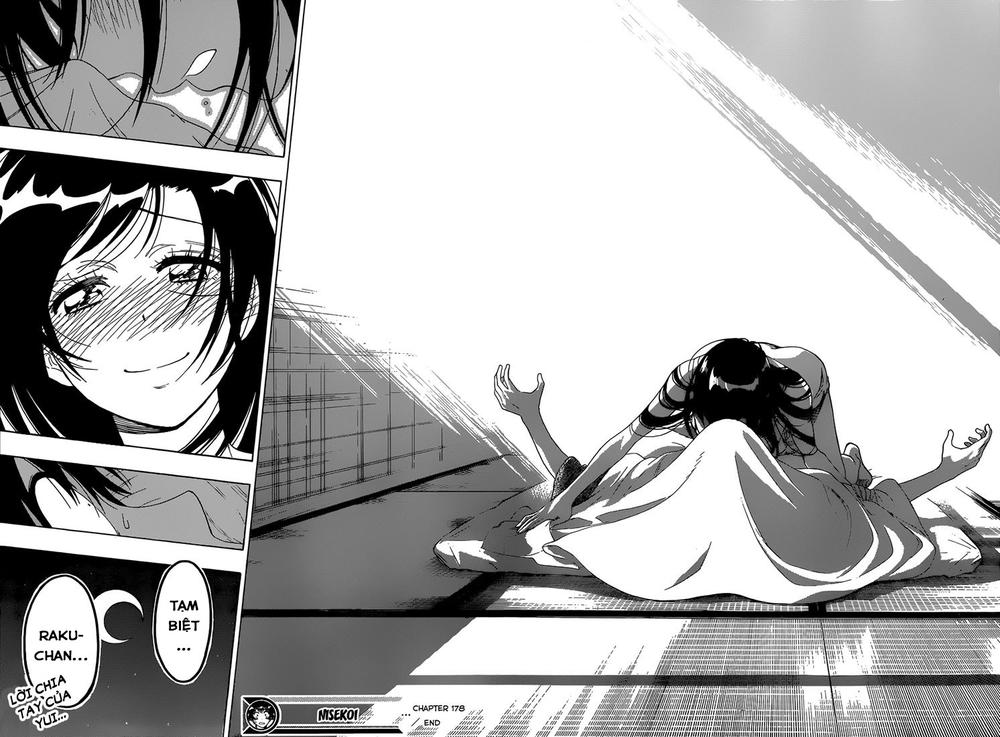 nisekoi - tình yêu giả tạo chapter 178 17