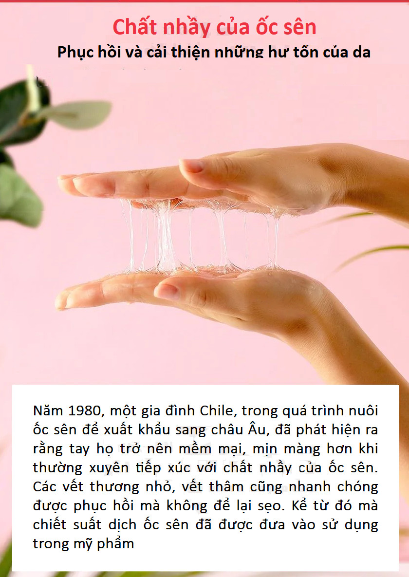 Combo Nước Hoa Hồng + Serum Dưỡng Phục Hồi, Cải Thiện Vết Thâm, Sẹo Some By Mi Snail Truecica Miracle Repair