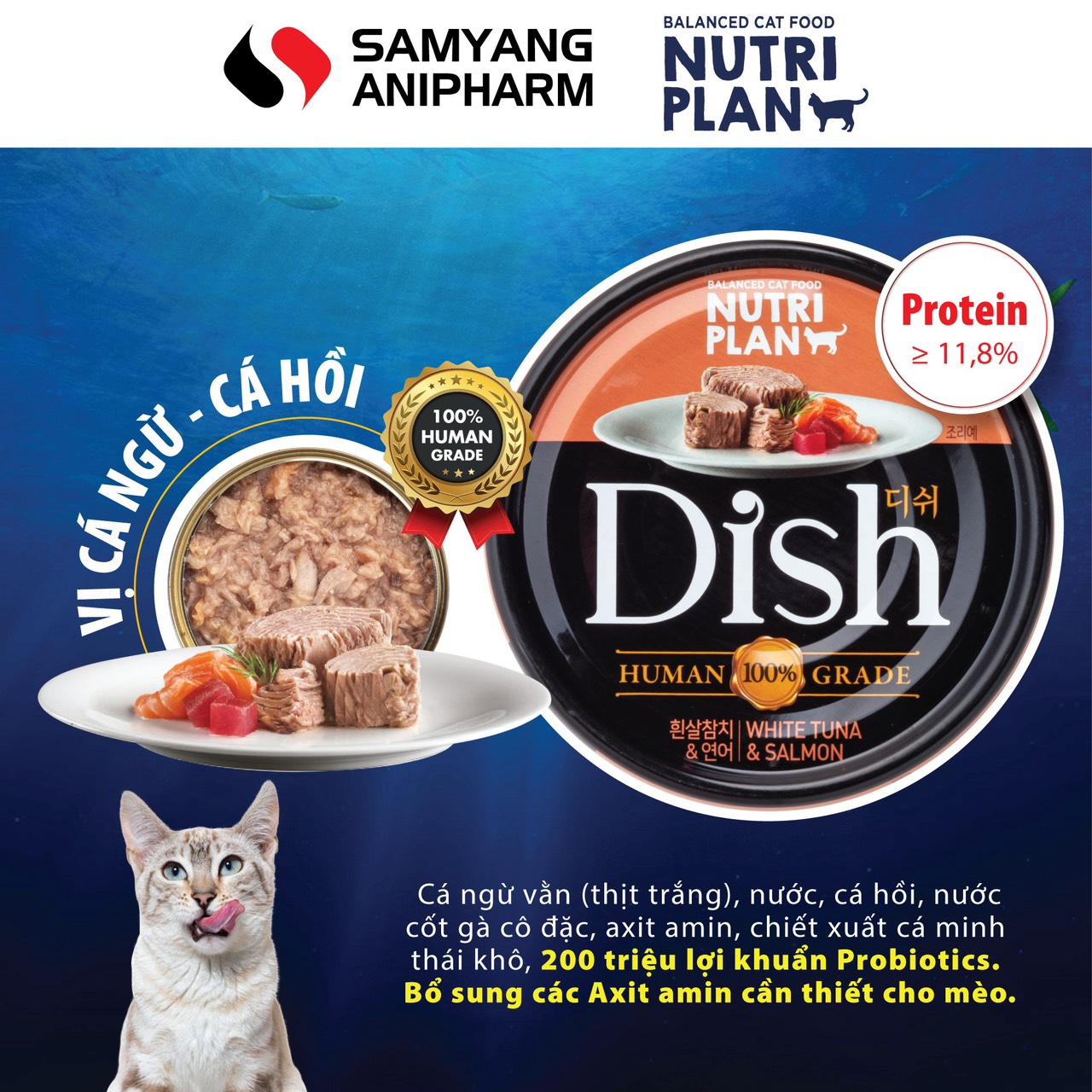 Pate cao cấp cho mèo Nutri Plan Dish 85g nhập khẩu Hàn Quốc