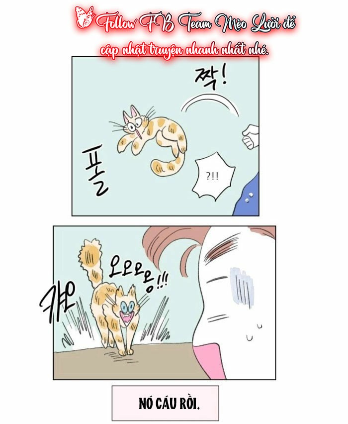 câu chuyện của hosik chapter 50 13