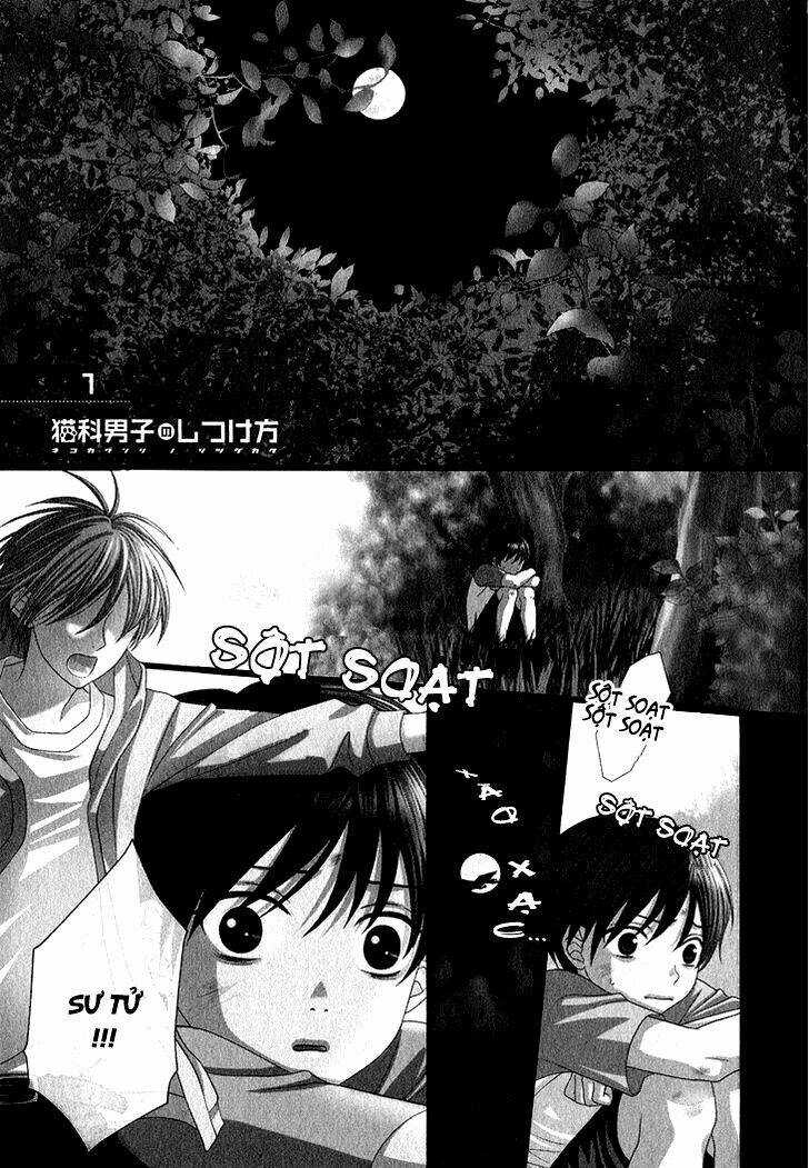 nekoka danshi no shitsukekata chapter 1 9