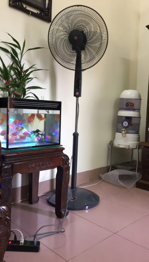 Quạt Đứng KDK P41U-Đen