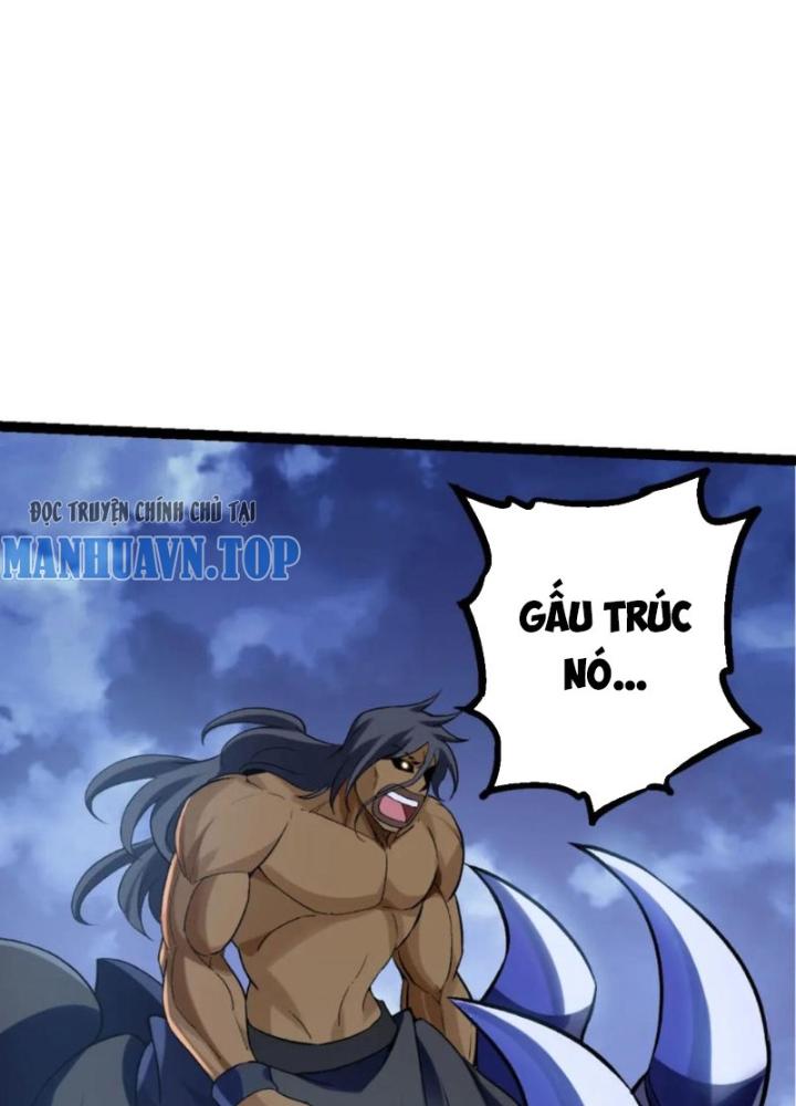 từ cây cổ thụ bắt đầu tiến hóa chapter 98 78