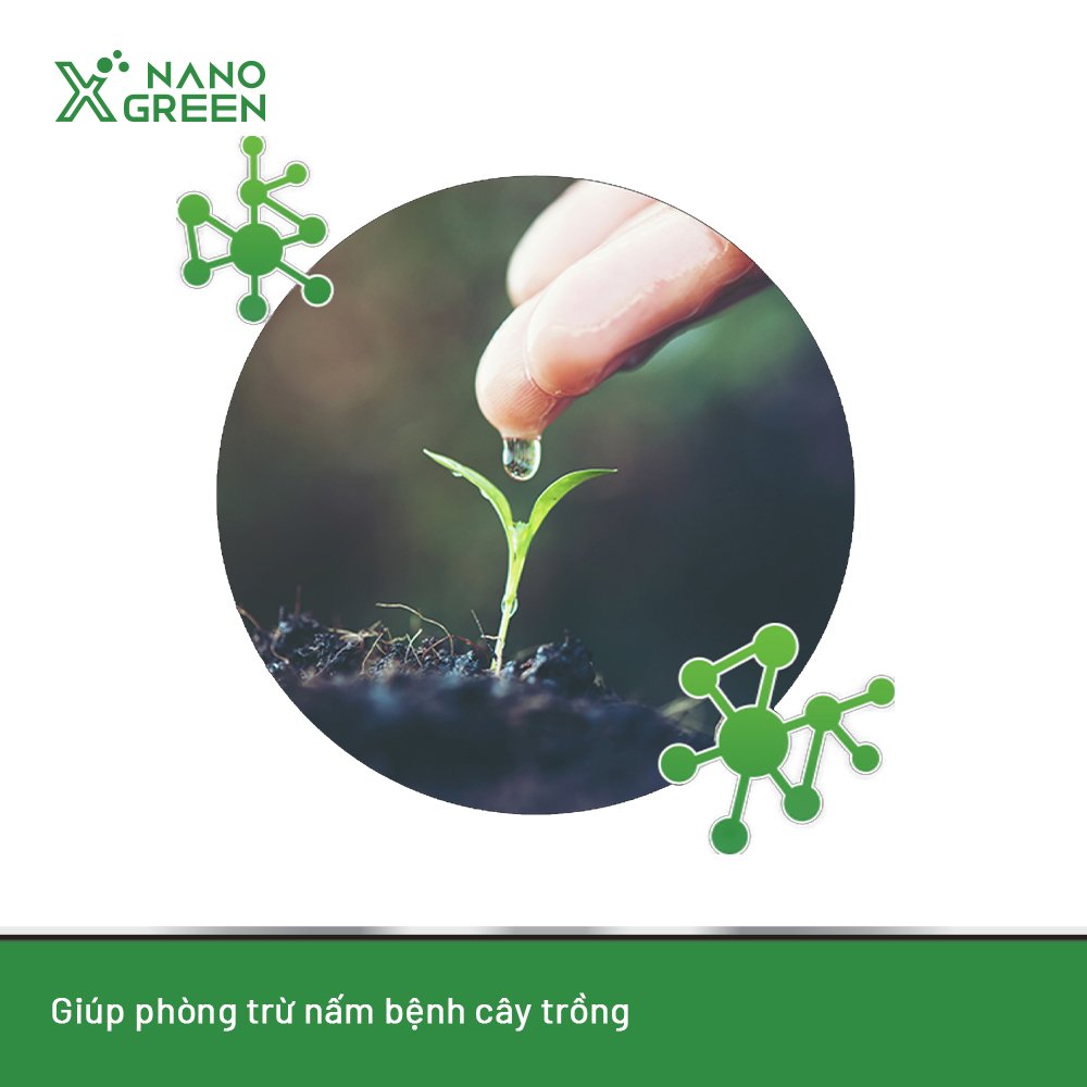 NANO KẼM (Zn) NÔNG NGHIỆP CHỐNG RỤNG LÁ, RỤNG TRÁI, VÀNG LÁ, BẠC LÁ, LÁ BIẾN DẠNG, BỔ SUNG KẼM-NANO XGREEN AHT CORP 100ML