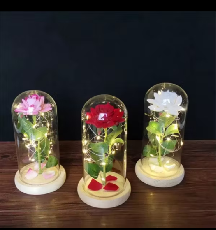 Đèn LED hoa hồng vĩnh cửu làm quà tặng quà lưu