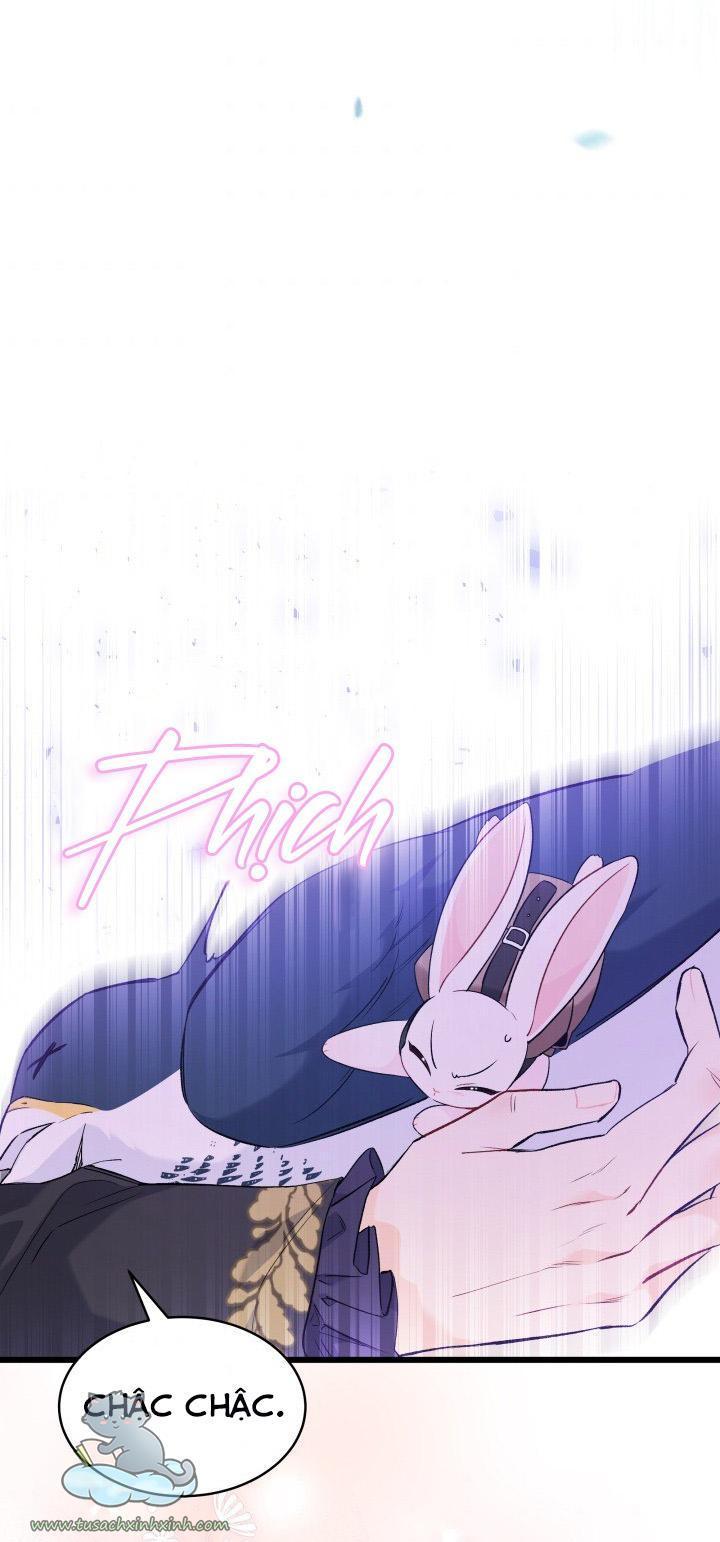 quan hệ cộng sinh giữa báo đen và thỏ trắng chapter 60 43