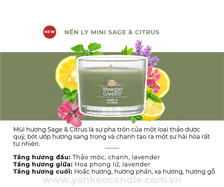 Nến li mini - Sage &amp; Citrus - Yankee Candle