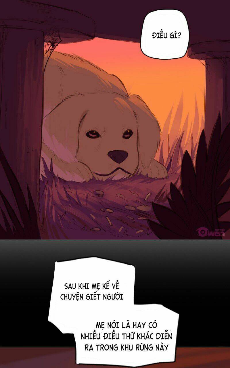 lời nguyền lalin chapter 5 32